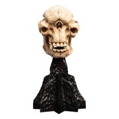 Enriquece tu colección con la estatua Skull of a Cave Troll de El Señor de los Anillos. Esta pieza, elaborada en polystone, captura la esencia de una de las criaturas más temibles de la trilogía.