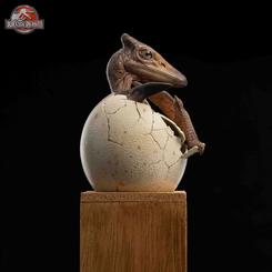 Imagina tener en tus manos una pieza única que captura un momento mágico de la naturaleza prehistórica. La estatua Jurassic Park ECC Elite Creature Line Statue 1/2 Pterosaur Hatching es una obra maestra que combina arte y ciencia