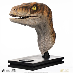 Con un detalle meticuloso y una precisión impresionante, el busto en tamaño real del Velociraptor macho de The Lost World: Jurassic Park captura la esencia de uno de los depredadores más icónicos de la saga de Steven Spielberg.