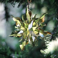 Deja que la magia ilumine cada rincón de tu hogar con este deslumbrante adorno de cristal en forma de copo de nieve, inspirado en el universo de Enredados. El Rapunzel Ornament combina un diseño elegante 