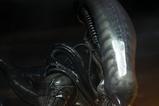 03-alien-14-figura-big-chap-56-cm.jpg