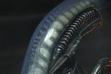 04-alien-14-figura-big-chap-56-cm.jpg