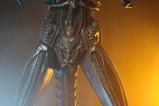 05-alien-14-figura-big-chap-56-cm.jpg