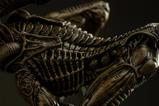 10-Alien-3-Estatua-110-Art-Scale-Ellen-Ripley-and-Dog-Alien-23-cm.jpg