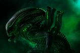 03-Alien-Estatua-110-Art-Scale-Alien-Big-Chap-24-cm.jpg
