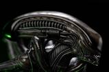 06-Alien-Estatua-110-Art-Scale-Alien-Big-Chap-24-cm.jpg