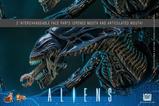 14-Alien-Figura-16-Alien-Queen-53-cm.jpg
