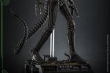 02-Alien-Figura-Movie-Masterpiece-16-Big-Chap-36-cm.jpg