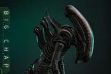 03-Alien-Figura-Movie-Masterpiece-16-Big-Chap-36-cm.jpg