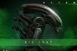 04-Alien-Figura-Movie-Masterpiece-16-Big-Chap-36-cm.jpg