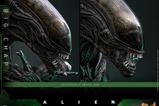 05-Alien-Figura-Movie-Masterpiece-16-Big-Chap-36-cm.jpg