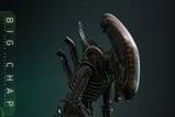 08-Alien-Figura-Movie-Masterpiece-16-Big-Chap-36-cm.jpg