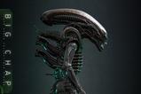 09-Alien-Figura-Movie-Masterpiece-16-Big-Chap-36-cm.jpg