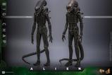 10-Alien-Figura-Movie-Masterpiece-16-Big-Chap-36-cm.jpg