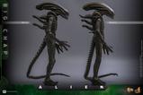 11-Alien-Figura-Movie-Masterpiece-16-Big-Chap-36-cm.jpg