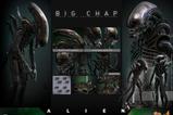 12-Alien-Figura-Movie-Masterpiece-16-Big-Chap-36-cm.jpg