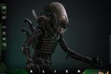 13-Alien-Figura-Movie-Masterpiece-16-Big-Chap-36-cm.jpg