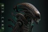 14-Alien-Figura-Movie-Masterpiece-16-Big-Chap-36-cm.jpg