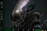 15-Alien-Figura-Movie-Masterpiece-16-Big-Chap-36-cm.jpg