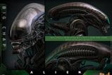 17-Alien-Figura-Movie-Masterpiece-16-Big-Chap-36-cm.jpg