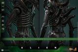 19-Alien-Figura-Movie-Masterpiece-16-Big-Chap-36-cm.jpg