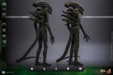 20-Alien-Figura-Movie-Masterpiece-16-Big-Chap-36-cm.jpg