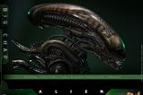 21-Alien-Figura-Movie-Masterpiece-16-Big-Chap-36-cm.jpg