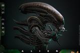 22-Alien-Figura-Movie-Masterpiece-16-Big-Chap-36-cm.jpg