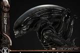 16-Alien-Film-Museum-Masterline-XL-Statue-13-Big-Chap-Xenomorph-Close-Up-Shot-.jpg