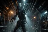 01-Alien-Movie-Masterpiece-Figura-16-Alien-Warrior-39-cm.jpg