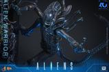 10-Alien-Movie-Masterpiece-Figura-16-Alien-Warrior-39-cm.jpg