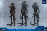 14-Alien-Movie-Masterpiece-Figura-16-Alien-Warrior-39-cm.jpg