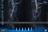 16-Alien-Movie-Masterpiece-Figura-16-Alien-Warrior-39-cm.jpg