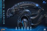 10-Alien-Movie-Masterpiece-Figura-16-Alien-Warrior-Deluxe-Version-39-cm.jpg