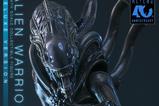 11-Alien-Movie-Masterpiece-Figura-16-Alien-Warrior-Deluxe-Version-39-cm.jpg