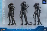 16-Alien-Movie-Masterpiece-Figura-16-Alien-Warrior-Deluxe-Version-39-cm.jpg