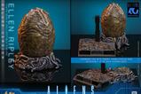 16-Alien-Movie-Masterpiece-Figura-16-Ellen-Ripley-Deluxe-Version-30-cm.jpg