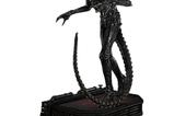 01-Alien-Museum-Masterline-XL-Statue-13-Big-Chap-Xenomorph-Regular-Ver-100-cm.jpg