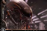 02-Alien-Museum-Masterline-XL-Statue-13-Big-Chap-Xenomorph-Regular-Ver-100-cm.jpg