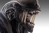 02-Alien-Romulus-Busto-11-Xenomorph-53-cm.jpg