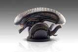 03-Alien-Romulus-Busto-11-Xenomorph-53-cm.jpg