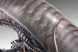 04-Alien-Romulus-Busto-11-Xenomorph-53-cm.jpg