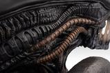 06-Alien-Romulus-Busto-11-Xenomorph-53-cm.jpg