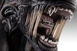 07-Alien-Romulus-Busto-11-Xenomorph-53-cm.jpg