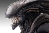 08-Alien-Romulus-Busto-11-Xenomorph-53-cm.jpg