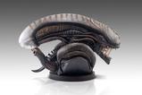 09-Alien-Romulus-Busto-11-Xenomorph-53-cm.jpg