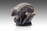 11-Alien-Romulus-Busto-11-Xenomorph-53-cm.jpg