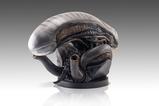 12-Alien-Romulus-Busto-11-Xenomorph-53-cm.jpg