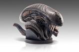 13-Alien-Romulus-Busto-11-Xenomorph-53-cm.jpg