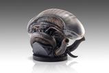 14-Alien-Romulus-Busto-11-Xenomorph-53-cm.jpg